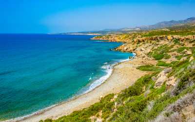 Wycieczka na plażę Lara Beach [27] z Pafos